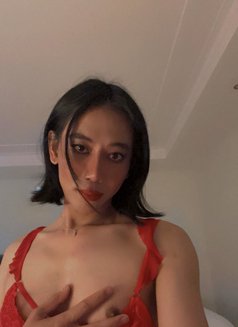 Norah🇹🇭 BigCock with Poper ! - Transsexual escort in Dammam Photo 15 of 15