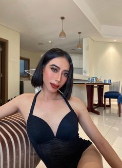 Norah🇹🇭 Bigcock with poper! - Transsexual escort in Khobar Photo 5 of 6