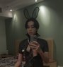 Norah🇹🇭 Special Dick - Transsexual escort in Dammam Photo 13 of 13