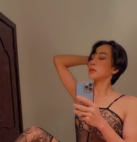 Norah🇹🇭 Special Dick - Acompañantes transexual in Dammam