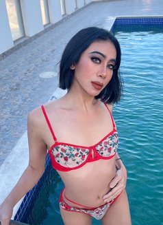 Norah 🇹🇭Strong Top - Transsexual escort in Jeddah Photo 8 of 16