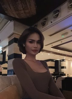 NORE available VIP 🇹🇭 - Transsexual escort in Doha Photo 11 of 11