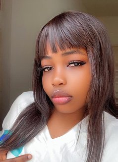 Norkira - escort in Muscat Photo 1 of 1