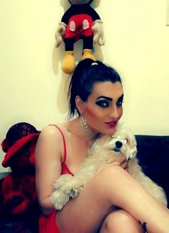 Norma - Transsexual escort in Beirut Photo 7 of 11