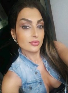 Norma - Acompañantes transexual in Damascus Photo 1 of 1