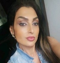 Norma - Transsexual escort in Damascus