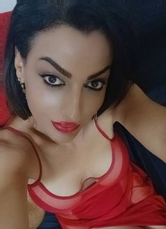 Norma - Acompañantes transexual in Damascus Photo 3 of 3