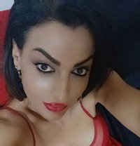Norma - Transsexual escort in Damascus