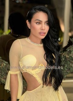 Not Just a Model a Fantasy 22 Year - escort in Doha Photo 19 of 19