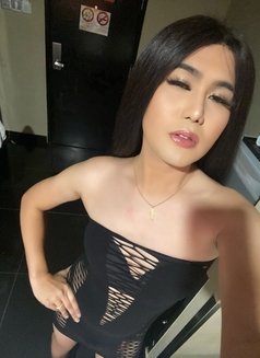 Cross-Dresser Fully Functional Cock - Transsexual escort in Taipei Photo 16 of 16
