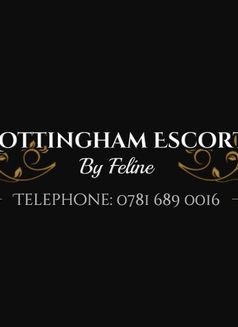 Nottingham Escorts by Feline - escort agency in Nottingham Photo 1 of 1