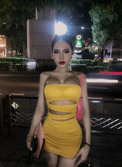 Notto256 - Male escort in Bangkok Photo 9 of 10