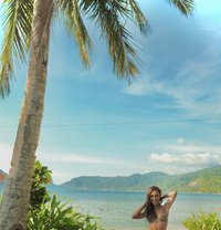 Yoursecretdoll.xo - Transsexual escort in Manila
