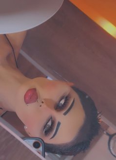 Nouf Xxl - Transsexual escort in Beirut Photo 4 of 28
