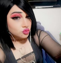 Nour - Acompañantes transexual in Amman