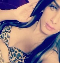 Zain - Acompañantes transexual in Amman