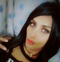 Zain - Acompañantes transexual in Amman