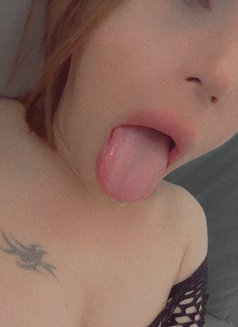 Nour - Transsexual escort in Toronto Photo 1 of 1