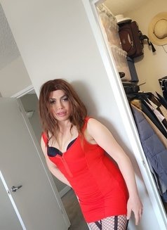 Nour - Transsexual escort in London, Ontario Photo 5 of 11