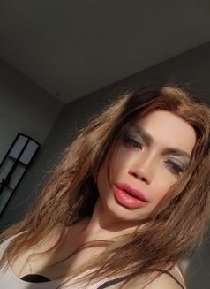 Nour - Transsexual escort in London, Ontario Photo 6 of 11