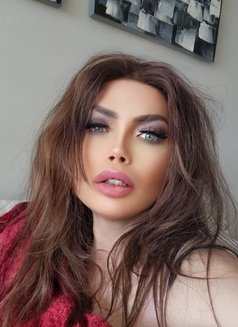 Nour - Transsexual escort in London, Ontario Photo 9 of 11