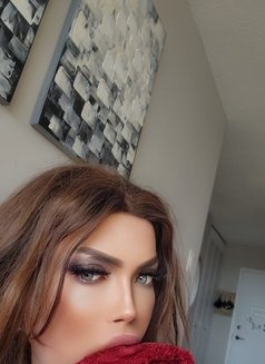 Nour - Transsexual escort in London, Ontario Photo 10 of 11