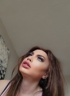 Nour - Transsexual escort in London, Ontario Photo 11 of 11