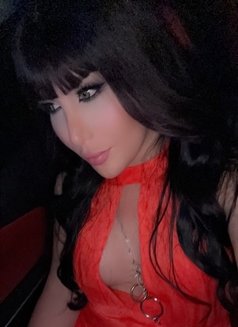 Nour لبنانية في اسطنبول - Transsexual escort in İstanbul Photo 13 of 14