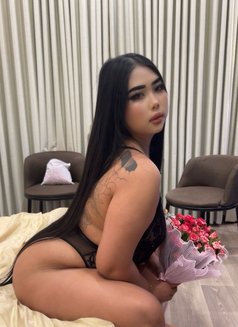Noura New in Riyadh - escort in Riyadh Photo 17 of 29
