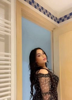 Noure Ts - Transsexual escort in Tunis Photo 4 of 4