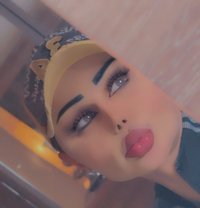Nouuf Xl - Transsexual escort in İstanbul