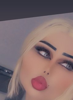 Nouuf Xl - Transsexual escort in İstanbul Photo 1 of 19