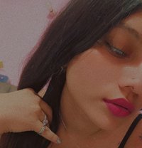 Nova - Acompañantes transexual in Noida