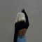 Nora new in oman - escort in Muscat Photo 3 of 6
