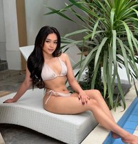 Nova Pretty Girl in Bali - escort in Bali