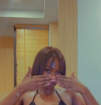 Nova - escort in Bangkok