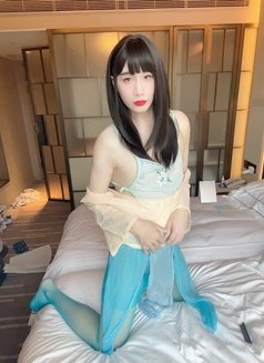 SH now - Transsexual escort in Shanghai Photo 25 of 26