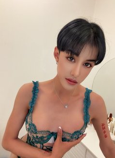 Now Ladyboy - masseuse in Kuala Lumpur Photo 16 of 21