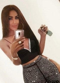 Nu - Ru Aromatic B2B Services - Transsexual escort in Bangkok Photo 3 of 4