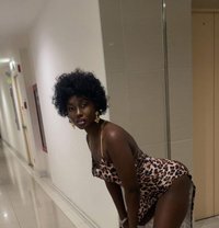 Nubian Queen - escort in  Koh Phangan