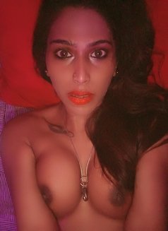 Nude_Avni - Transsexual escort in New Delhi Photo 27 of 28