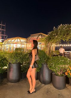 Nueyxxx - Transsexual escort in Bangkok Photo 17 of 18