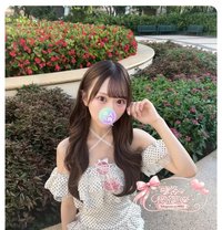 Number: 7329 - escort in Tokyo