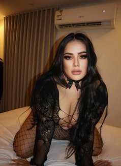 Nuru/deep throat/Anal - masseuse in Al Manama Photo 3 of 7