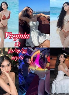 Nuru Goddesses of Manila - escort agency in Manila Photo 23 of 27
