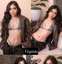 Nuru Goddesses of Manila - escort agency in Manila Photo 24 of 24