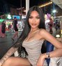 Nutcha Phuket 🫦 - Acompañantes transexual in Phuket Photo 1 of 14