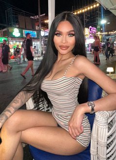 Nutcha Phuket 🫦 - Transsexual escort in Phuket Photo 1 of 15