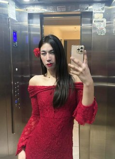 Nuttapong Ladyboy - Transsexual escort in Muscat Photo 1 of 12