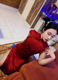 Nuttapong Ladyboy - Transsexual escort in Muscat Photo 4 of 12